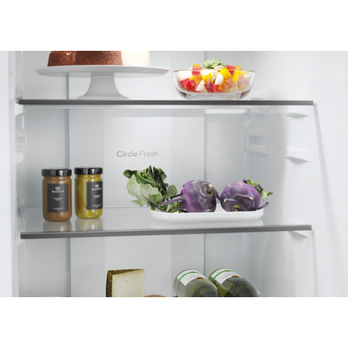 COMBINATO 279 LT BIANCO NOFROST E 182,5X55 CANDY